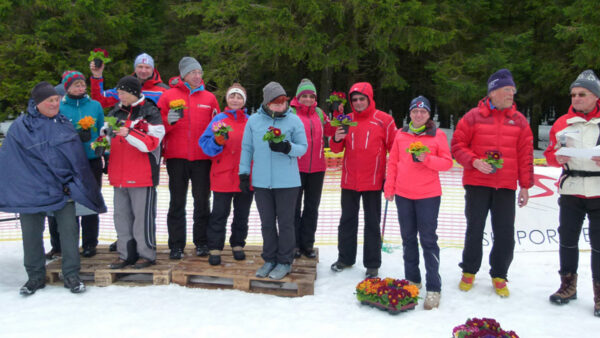 Primeln blühten wieder im Schnee