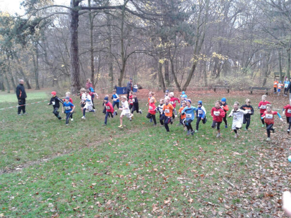 Erfurter Crosslauf der Wintersportler und 16. S-Cup 2013