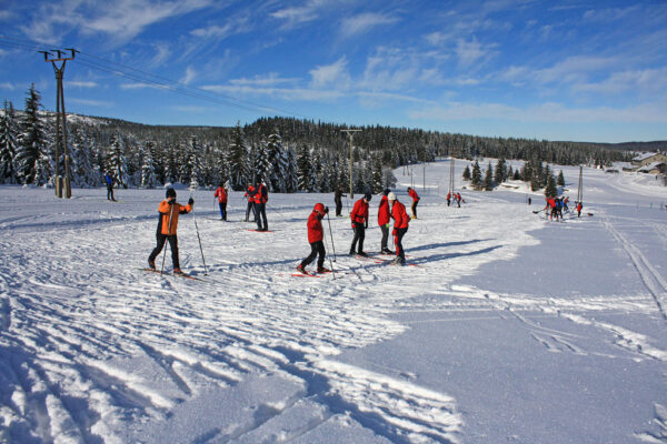 Trainingslager Langlauf 2011