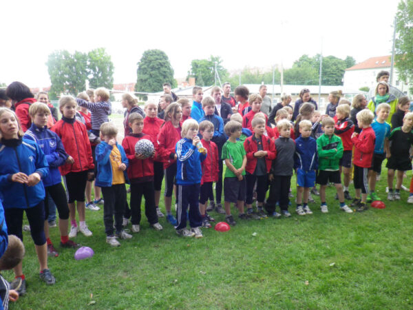 Sportabzeichen-Sommersportfest 2013