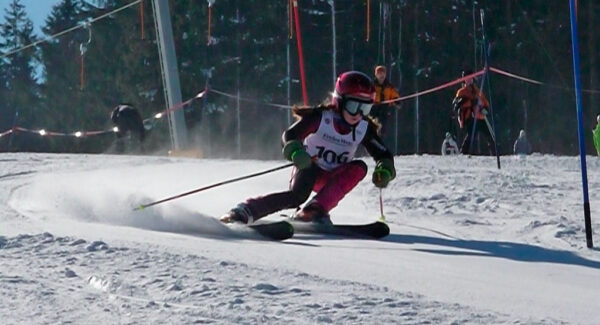 Alpinwinter 2010/2011