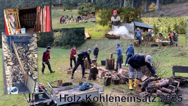 Holz-Kohleneinsatz Falkenstein 2025